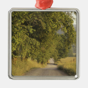 USA, Tennessee, Great Smoky Mountains National 2 Metal Tree Decoration