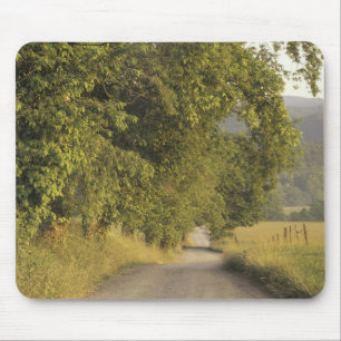 USA, Tennessee, Great Smoky Mountains National 2 Mouse Pad