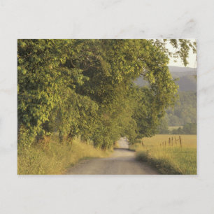 USA, Tennessee, Great Smoky Mountains National 2 Postcard