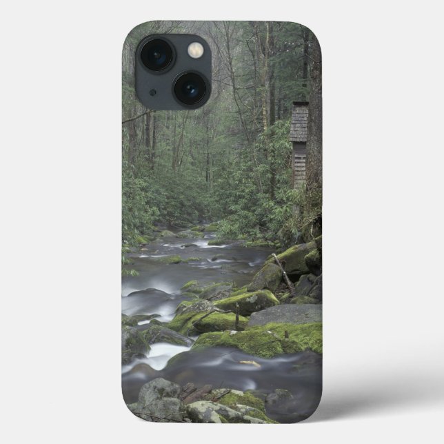 USA, Tennessee, Great Smoky Mountains National 3 Case-Mate iPhone Case (Back)