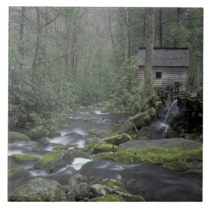 USA, Tennessee, Great Smoky Mountains National 3 Tile