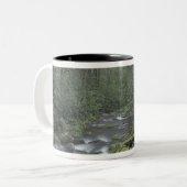 USA, Tennessee, Great Smoky Mountains National 3 Two-Tone Coffee Mug (Front Left)