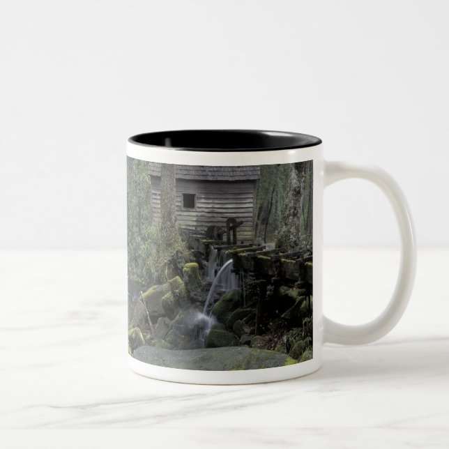 USA, Tennessee, Great Smoky Mountains National 3 Two-Tone Coffee Mug (Right)
