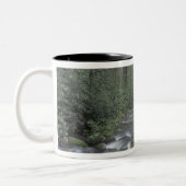 USA, Tennessee, Great Smoky Mountains National 3 Two-Tone Coffee Mug (Left)