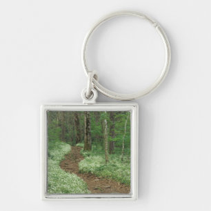 USA, Tennessee, Great Smoky Mountains NP, 3 Key Ring