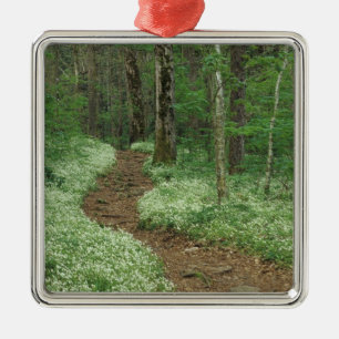 USA, Tennessee, Great Smoky Mountains NP, 3 Metal Tree Decoration