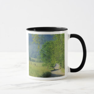 USA, Tennessee, Great Smoky Mountains NP, Mug