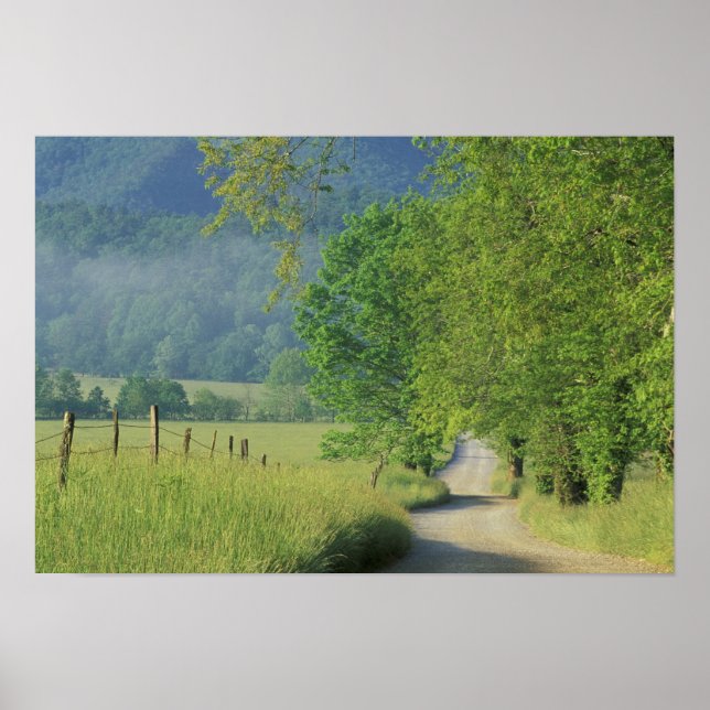 USA, Tennessee, Great Smoky Mountains NP, Poster (Front)