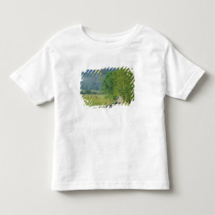 USA, Tennessee, Great Smoky Mountains NP, Toddler T-Shirt