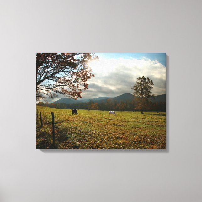 USA, Tennessee. Horses In Cades Cove Valley Canvas Print (Front)
