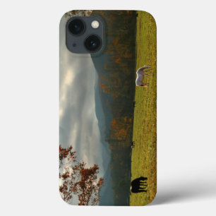 USA, Tennessee. Horses In Cades Cove Valley iPhone 13 Case