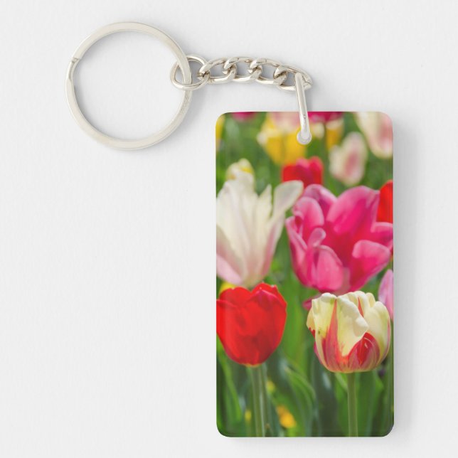 USA, Tennessee, Nashville Key Ring (Front)