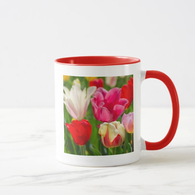 USA, Tennessee, Nashville Mug (Right)