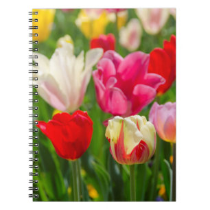 USA, Tennessee, Nashville Spiral Notebook