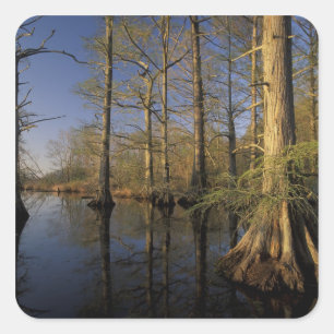 USA, Tennessee. Reelfoot National Wildlife Square Sticker