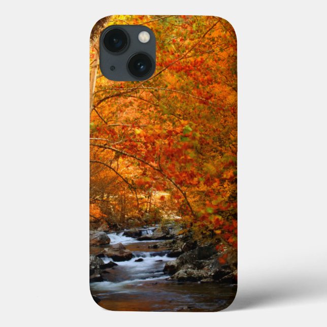 USA, Tennessee. Rushing Mountain Creek 2 Case-Mate iPhone Case (Back)