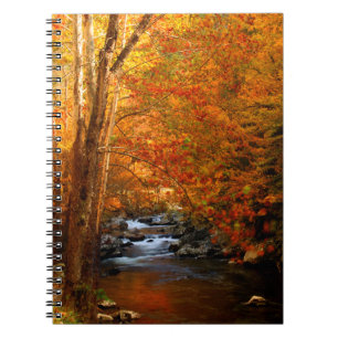 USA, Tennessee. Rushing Mountain Creek 2 Notebook