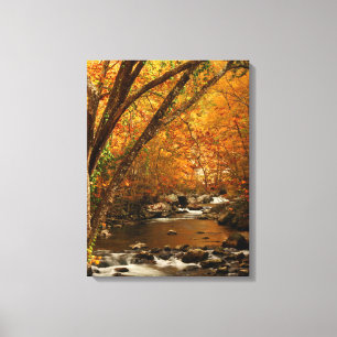 USA, Tennessee. Rushing Mountain Creek 3 Canvas Print