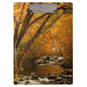 USA, Tennessee. Rushing Mountain Creek 3 Clipboard