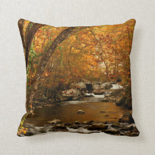 USA, Tennessee. Rushing Mountain Creek 3 Cushion
