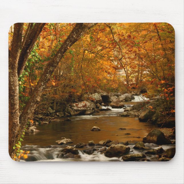 USA, Tennessee. Rushing Mountain Creek 3 Mouse Pad (Front)