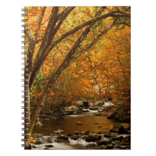 USA, Tennessee. Rushing Mountain Creek 3 Notebook