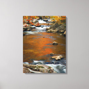 USA, Tennessee. Rushing Mountain Creek 4 Canvas Print