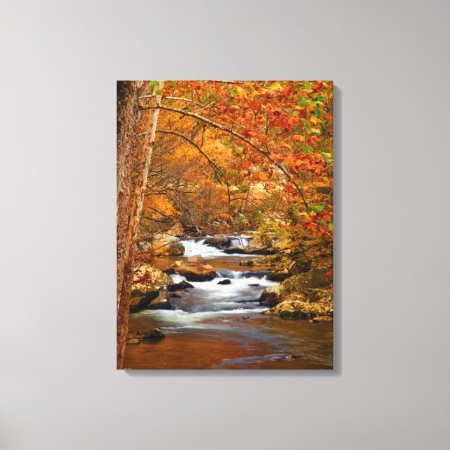 USA, Tennessee. Rushing Mountain Creek Canvas Print (Front)