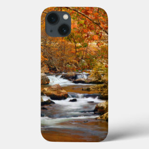 USA, Tennessee. Rushing Mountain Creek iPhone 13 Case