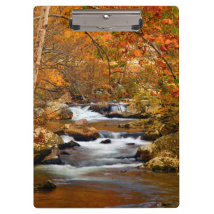 USA, Tennessee. Rushing Mountain Creek Clipboard