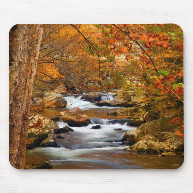 USA, Tennessee. Rushing Mountain Creek Mouse Pad (Front)
