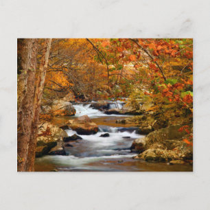 USA, Tennessee. Rushing Mountain Creek Postcard