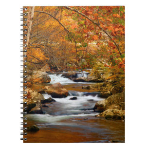 USA, Tennessee. Rushing Mountain Creek Spiral Notebook