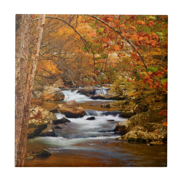 USA, Tennessee. Rushing Mountain Creek Tile (Front)