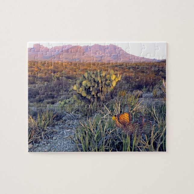 USA, Texas, Big Bend NP. A sandy pink dusk Jigsaw Puzzle (Horizontal)