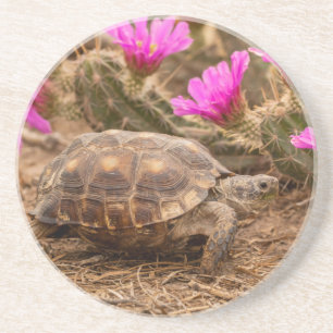 USA, Texas, Hidalgo County. Tortoise Coaster