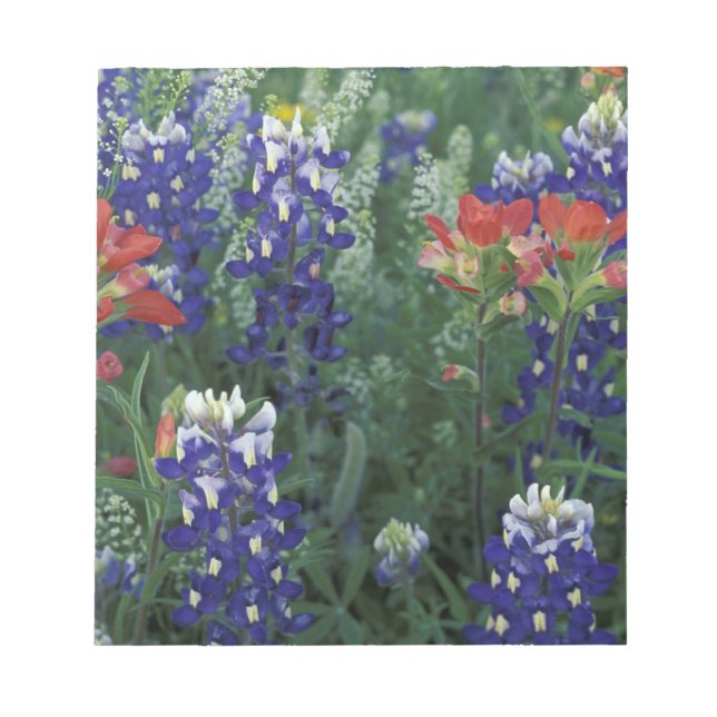 USA, Texas Hill Country. Bluebonnets and Notepad (Front)