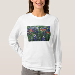 USA, Texas Hill Country. Bluebonnets and T-Shirt