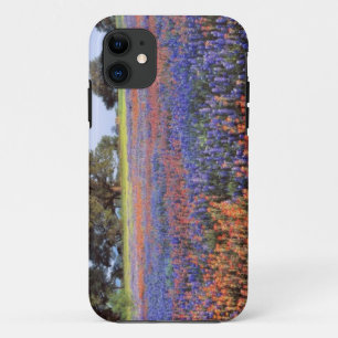 USA, Texas, Llano. Bluebonnets and redbonnets Case-Mate iPhone Case