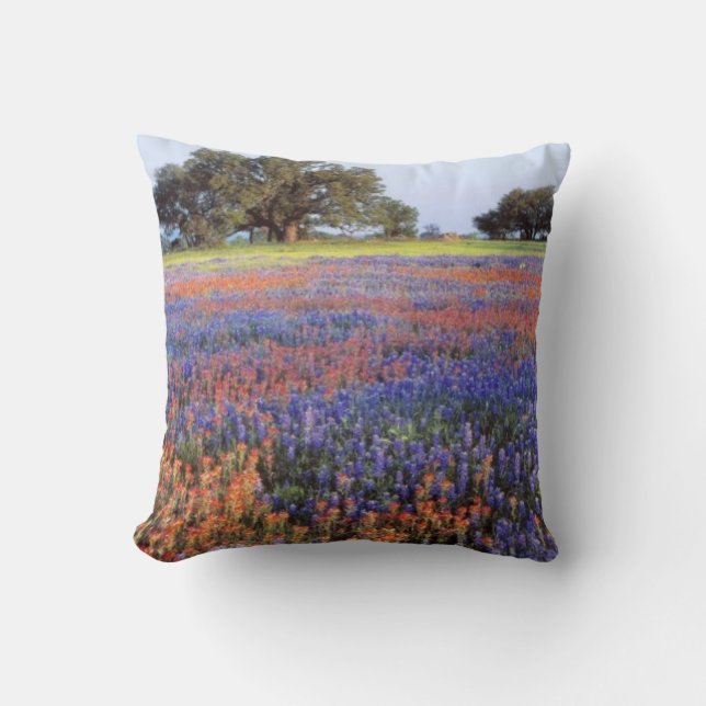USA, Texas, Llano. Bluebonnets and redbonnets Cushion (Front)