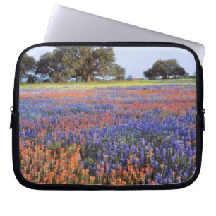 USA, Texas, Llano. Bluebonnets and redbonnets Laptop Sleeve