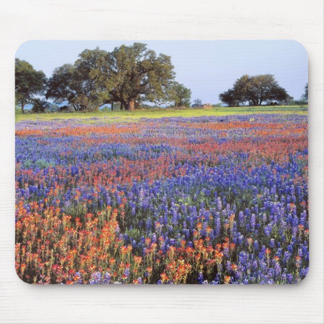 USA, Texas, Llano. Bluebonnets and redbonnets Mouse Pad (Front)