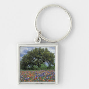USA, Texas, Marble Falls Paintbrush and Key Ring