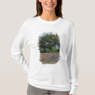 USA, Texas, Marble Falls Paintbrush and T-Shirt