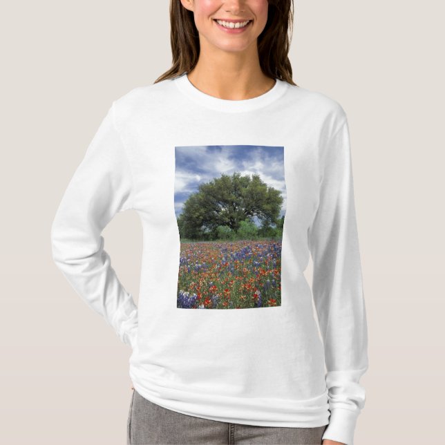 USA, Texas, Marble Falls Paintbrush and T-Shirt (Front)