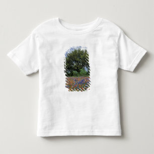 USA, Texas, Marble Falls Paintbrush and Toddler T-Shirt
