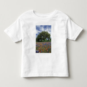USA, Texas, Marble Falls Paintbrush and Toddler T-Shirt