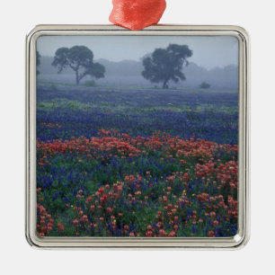 USA, Texas, near Lytle Fog, oaks, blue bonnets Metal Tree Decoration