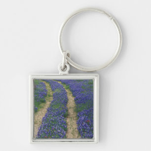 USA, Texas, near Marble Falls, Tracks in blue Key Ring
