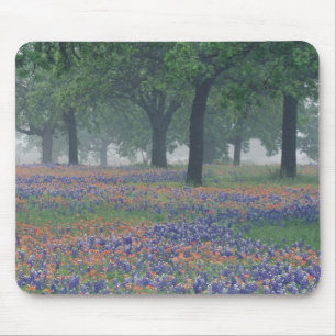 USA, Texas, Texas Hill Country Expansive field Mouse Pad
